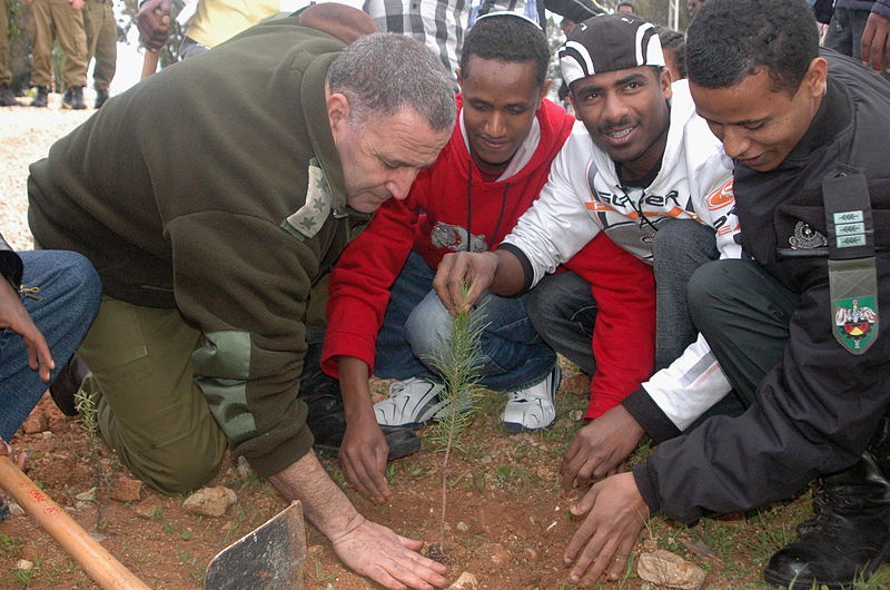 Planting Trees for Tomorrow Israel_Defense_Forces_-_New_Immigrants_Plant_Trees_for_Tomorrow