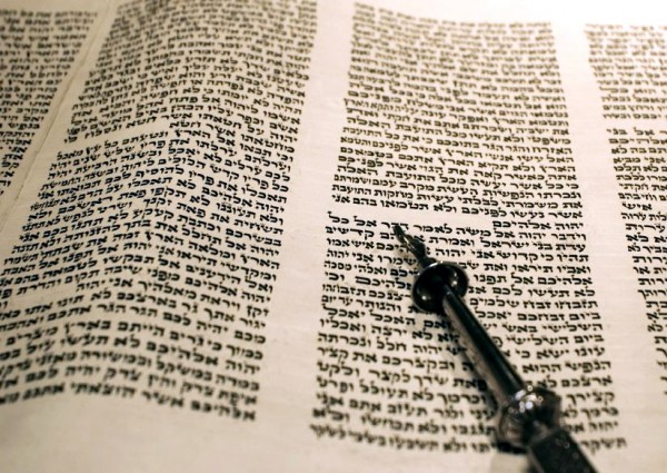 Leviticus-Torah-scroll