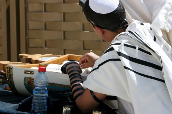 young-man-reads-Torah