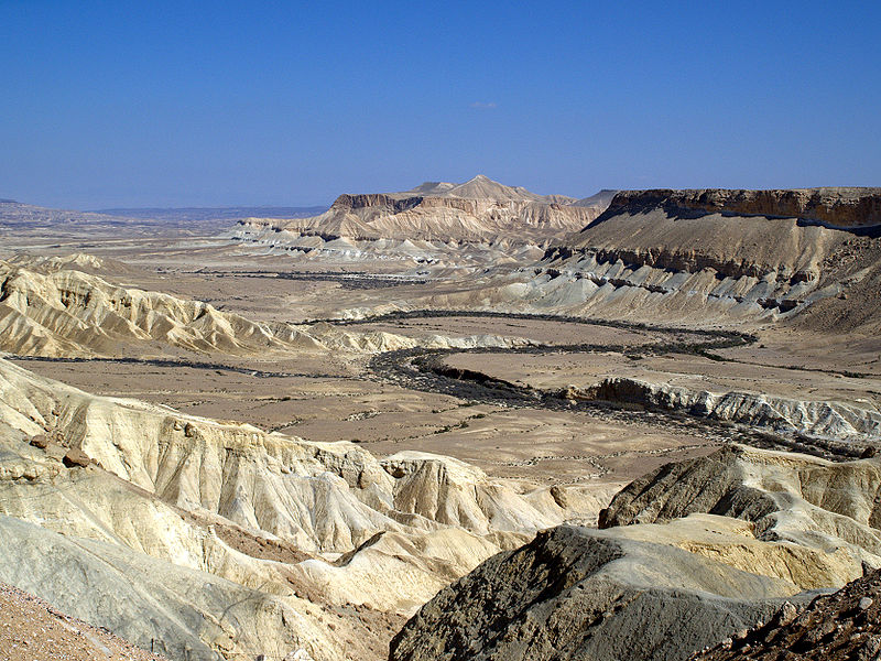 Zin Valley-Negev Desert- Israel