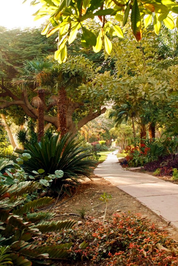 garden-Kibbutz-Botanic-Garden-Yehuda