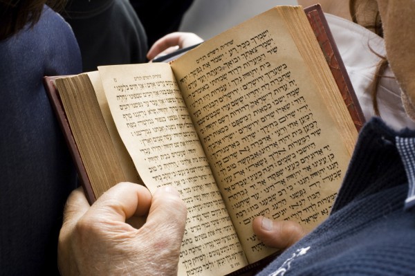 Bible-Hebrew