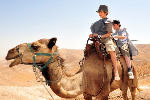 boys-camel-desert