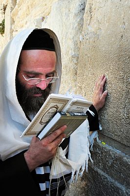 An Orthodox Jewish man prays using a siddur or prayer book. Orthodox Jewish man-prays-siddur