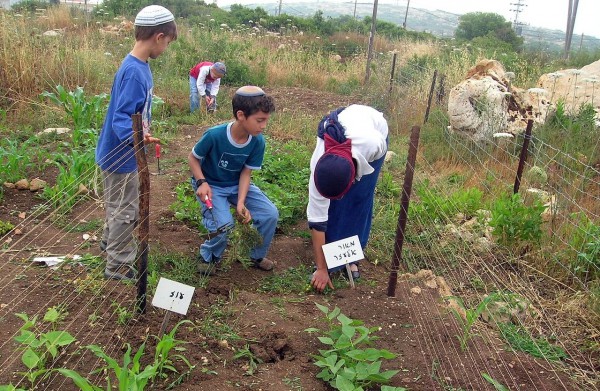 Tal Menashe_students_garden