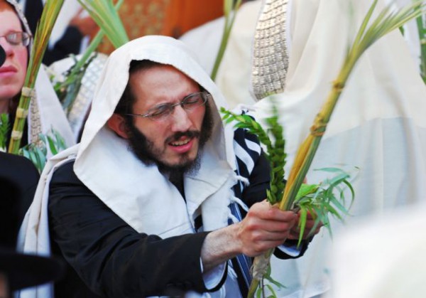 Sukkot-four species-Arba Minim-Four Species-etrog-aravot-hadassim