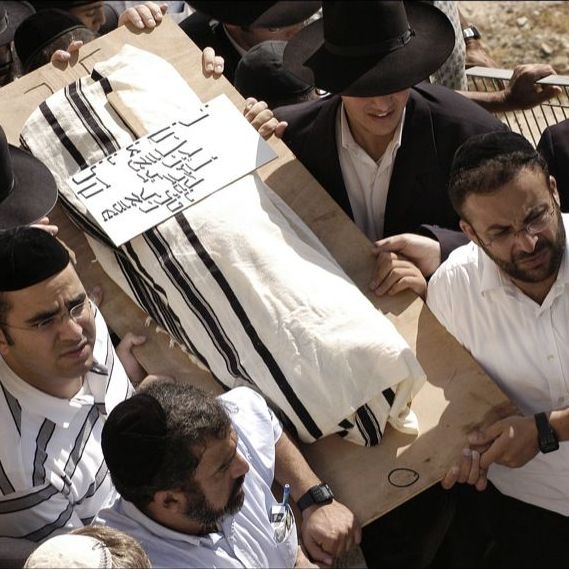 11 month-old Shmuel Zargari