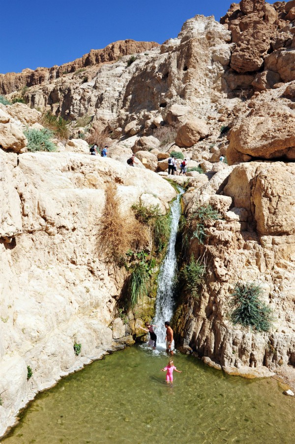 Ein Gedi Ein-Gedi