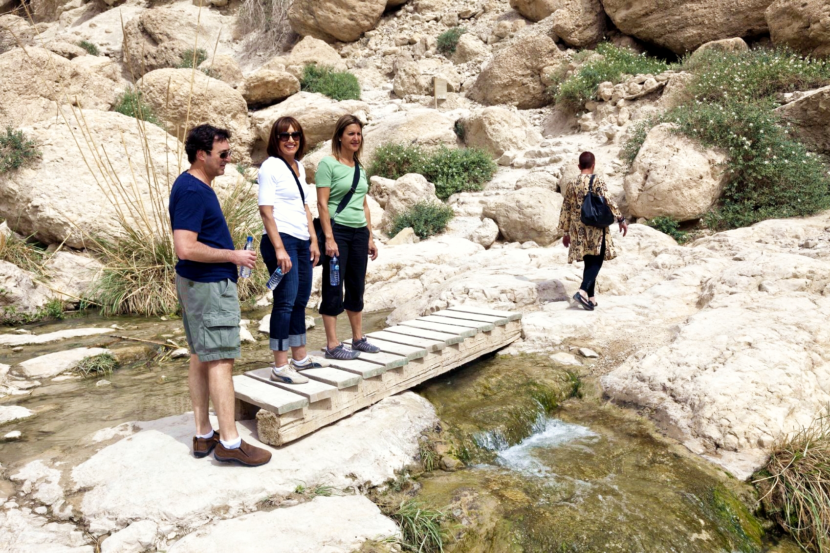 Ein-Gedi-oasis-Israel