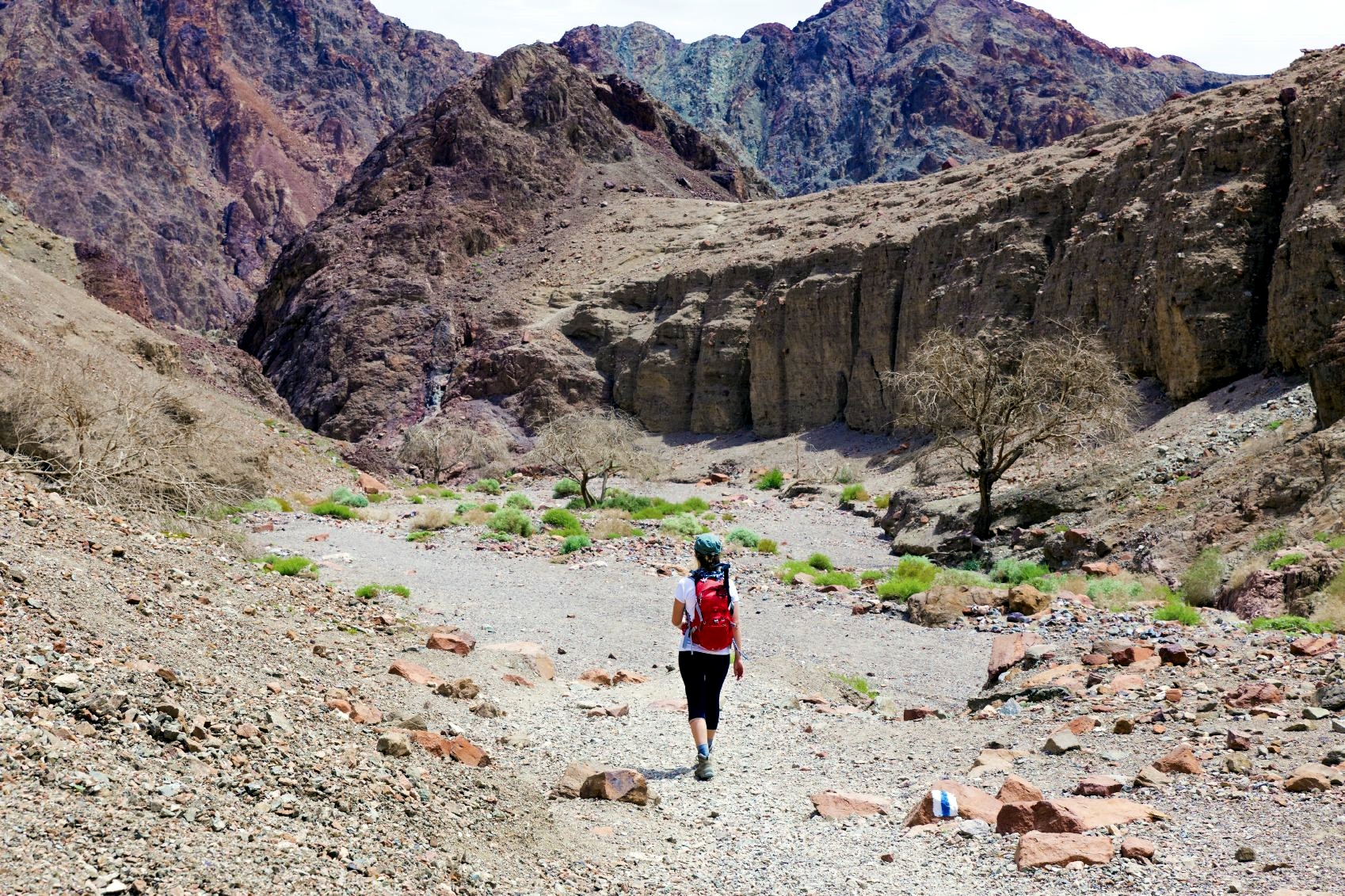 Hiking-desert