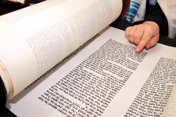 Reading the precious handwritten text of the Torah (Go Israel)