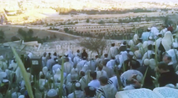 Hoshana Rabbah celebration on the Mount of Olives. 