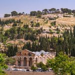 1080_mount of olives in jerusalem, israel