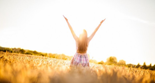 praise wheat field sunlight