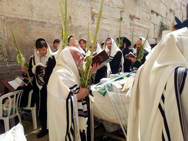 Jewish men at the Western Wall in the Old City of Jerusalem carry the Four Species of Sukkot (Leviticus 23:40), which are traditionally the citron, the date palm, myrtle, and willow.