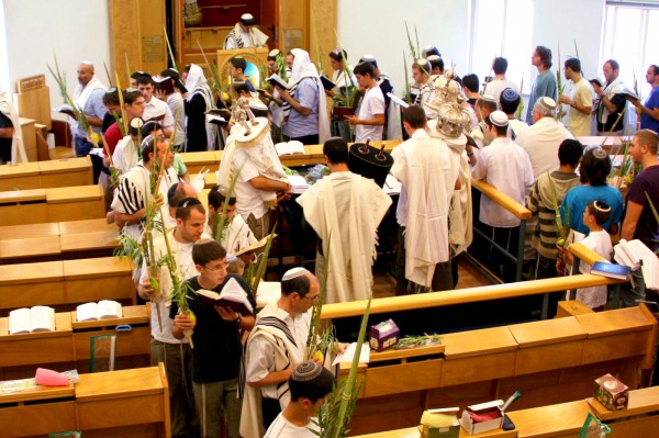 Torah-Scrolls-Hoshana Rabbah-Citrons-Lulav-Etrogs-Hoshanot