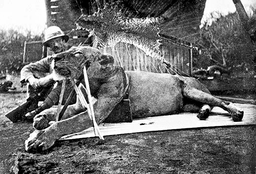 Colonel John Patterson Lions of Tsavo 1898 Kenya-Uganda Railway