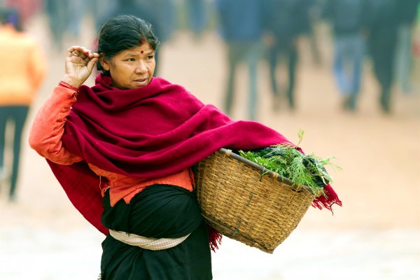 Israel-Nepal-senescence-agriculture-vegetables-greens