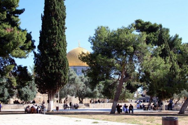 Dome of the Rock-Temple Mount-Palestinians-Muslim