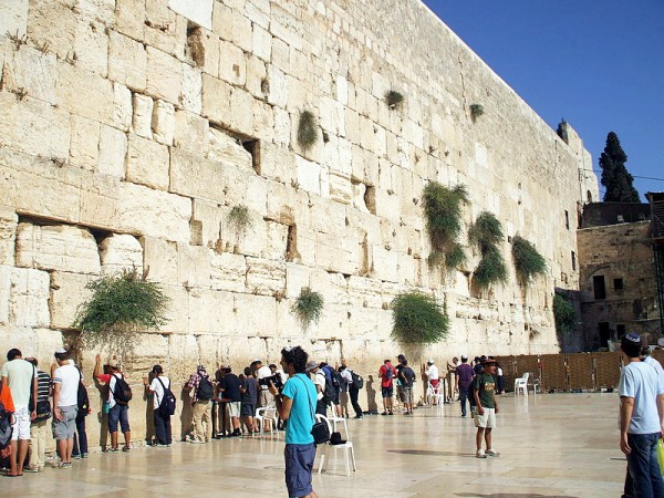 Prayer in the men's section at the Western Wall.