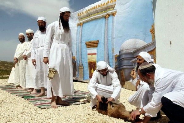 A Kohen holds a silver mizrak, which is used to collect the blood from the sacrifice. After collecting the blood, the priest then spills it onto the corner of the altar. (Source: Temple Institute Facebook page)