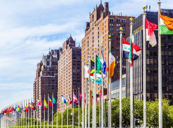 Flags of the United Nations