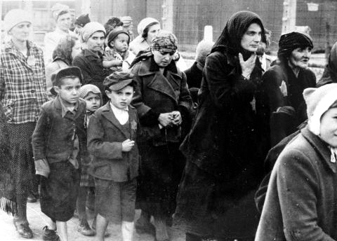 Jewish_women_and_children_from_Subcarpathian_Rus_who_have_been_selected_for_death_at_Auschwitz-Birkenau_walk_toward_the_gas_chambers Holocaust-victims-death camp
