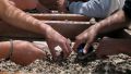 Temple Mount excavation-archaeology-Jerusalem-Temple Mount debris