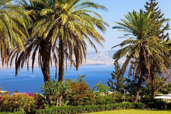 The Gardens at Mount of Beatitudes, overlooking the Sea of Galilee