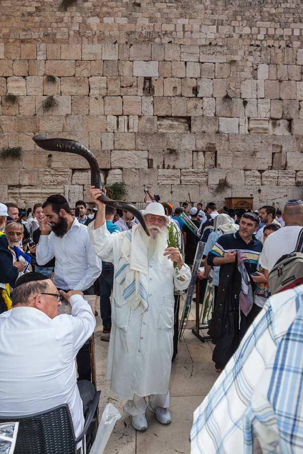 shofar, western wall