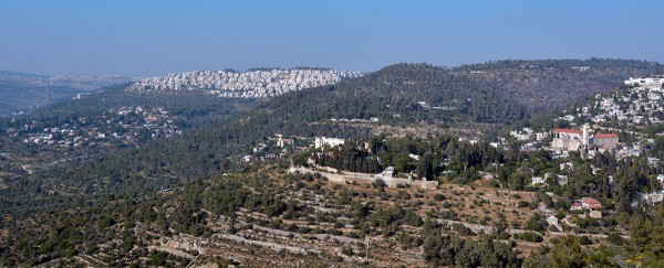 The Jerusalem mountains have been repopulated with lush tree life.