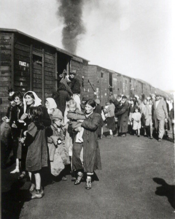 deportation to Treblinka, cattle cars