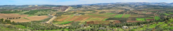 The soil of Israel is rich and the harvests bountiful today thanks in large part to the work of the pioneering youth who immigrated nearly100 years ago.