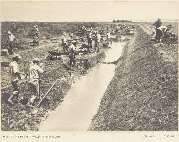 Chalutzim (pioneers) draining the swamps in the Jezreel Valley in the 1930s (National Library of Israel, Holy Land Collection)